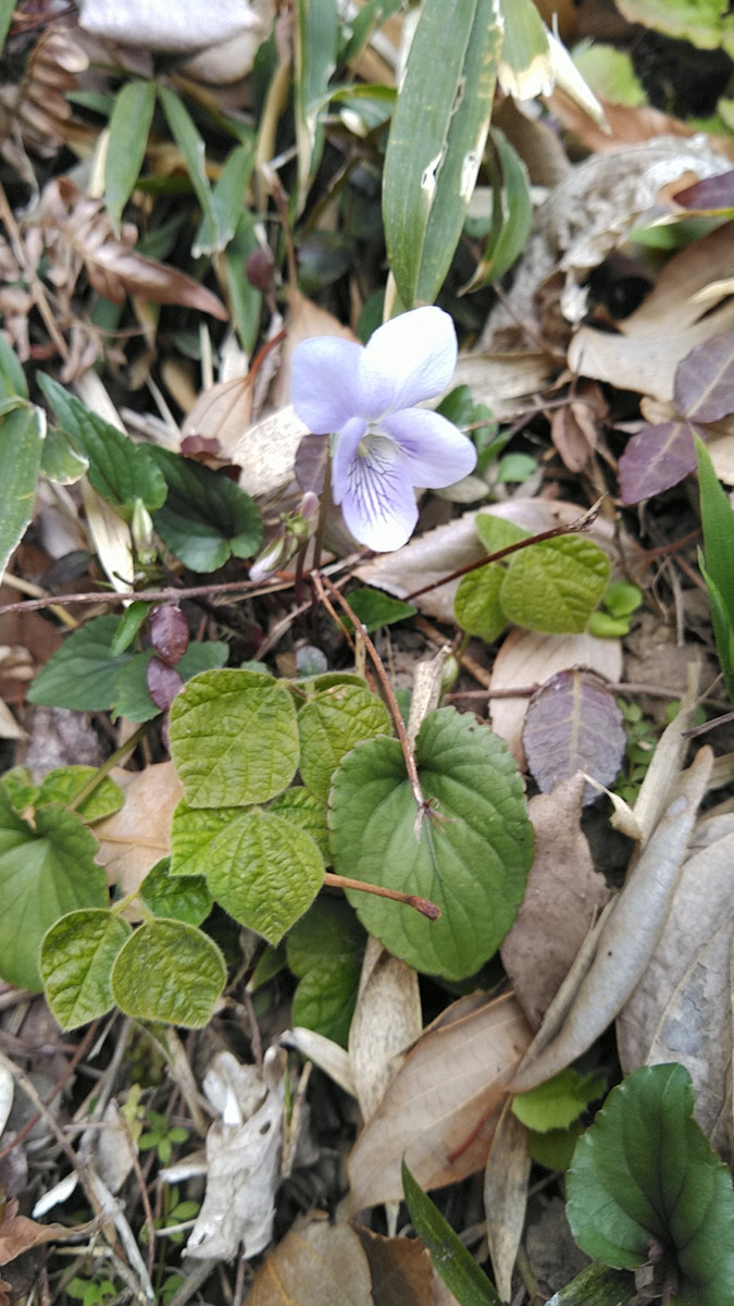 Kimg7305_01_burst1007305_cover