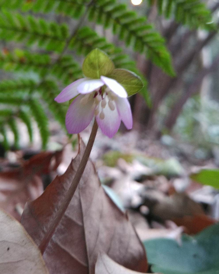 Kimg7319_01_burst1007319_cover