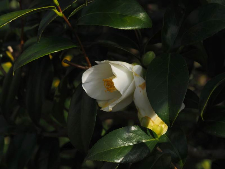 P3144669