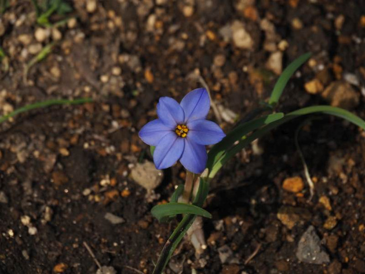P3174740