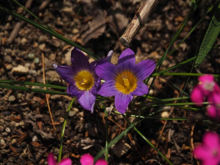 P3215049