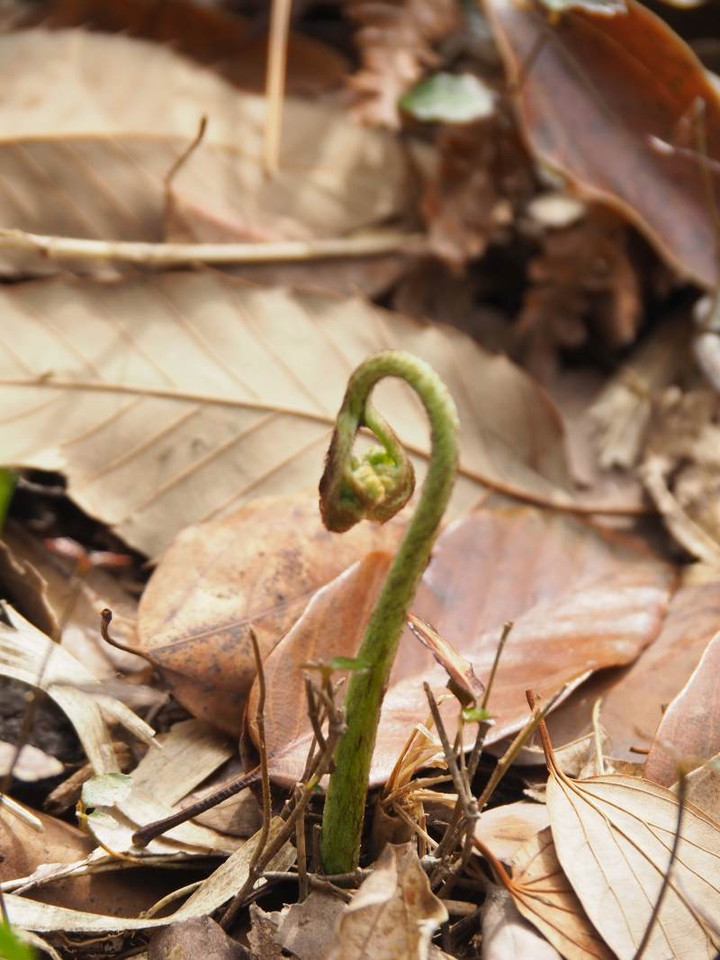P3235120