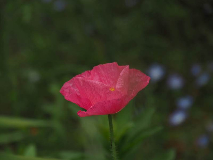 P5212737