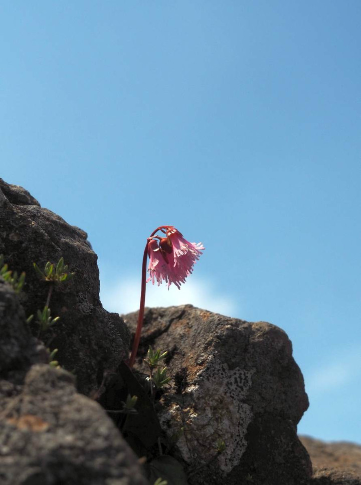 P5222944