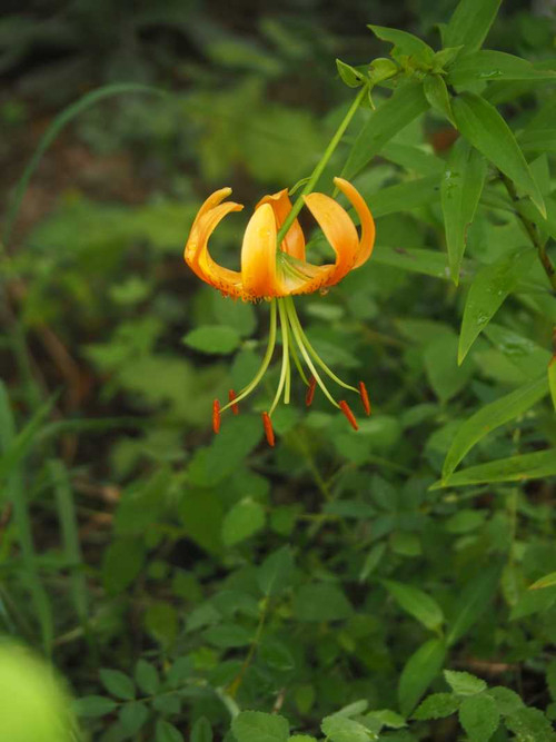 P7169151