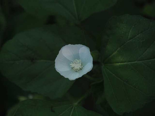 P7179188