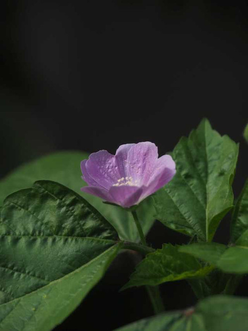 P7189200