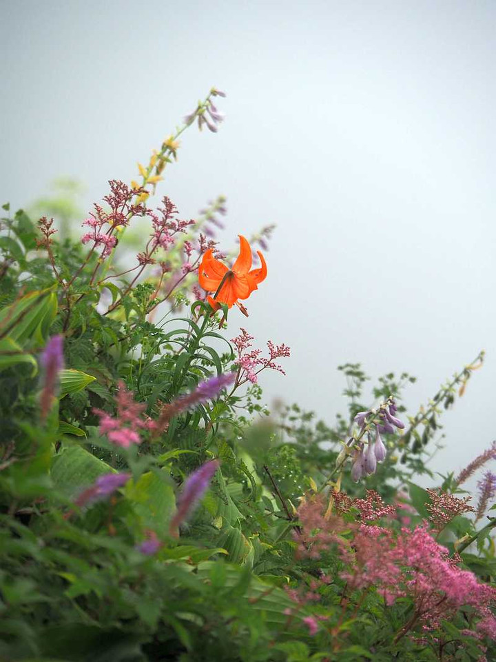P7239509