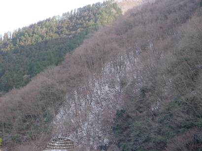 DSC00123yama