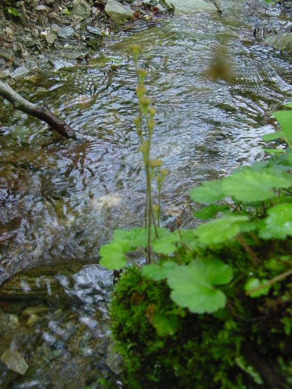 Dsc00006_2