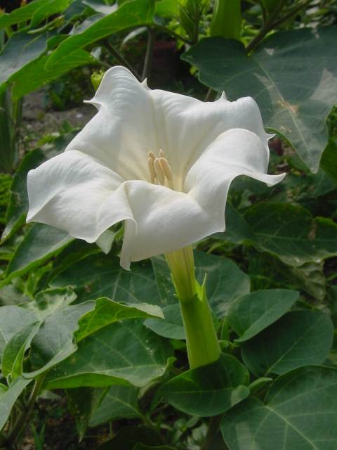 dsc00008