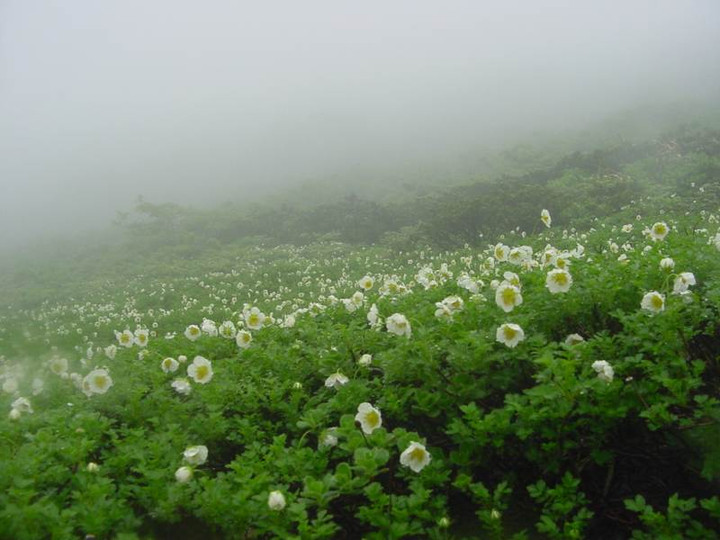 dsc00013