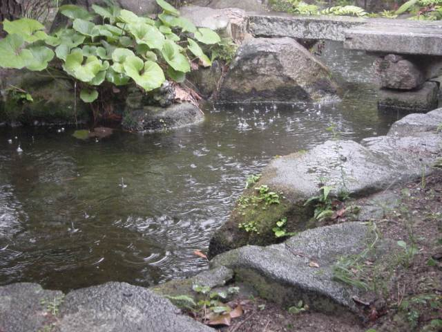 dsc00018