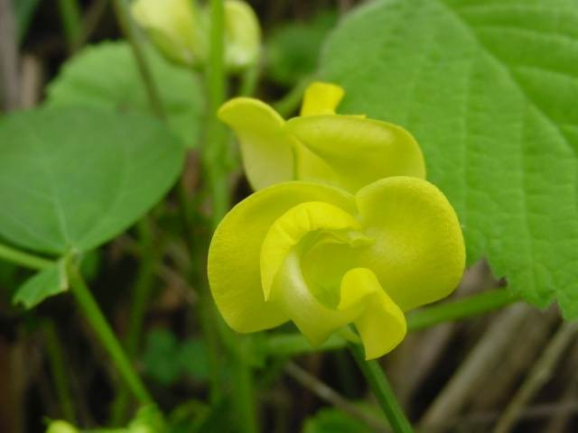 Dsc00019_3