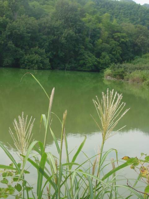 dsc00026