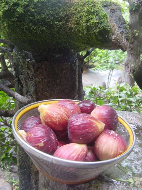 dsc00034