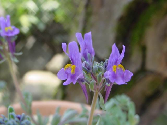 dsc00035