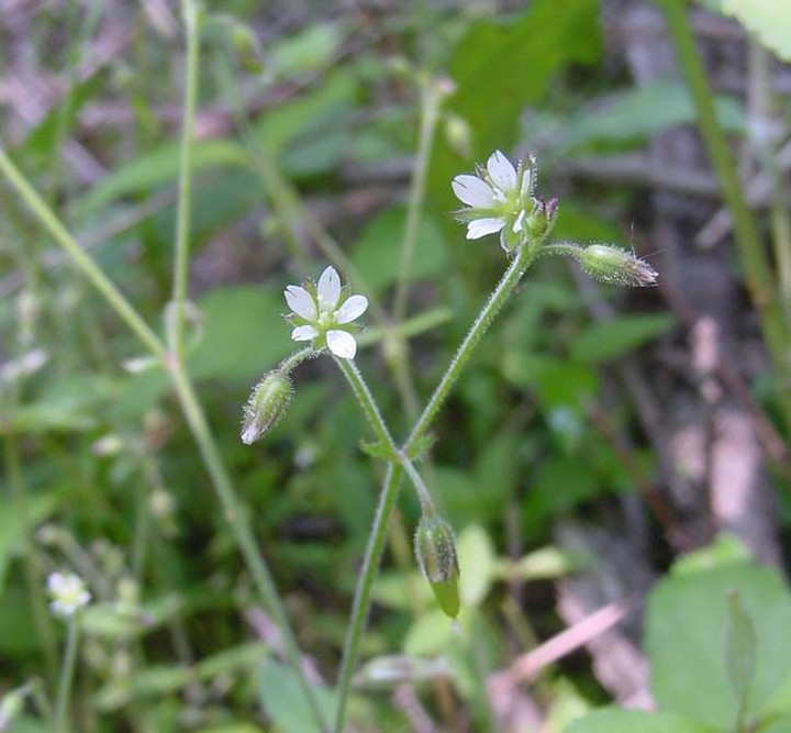 Dsc00053_2