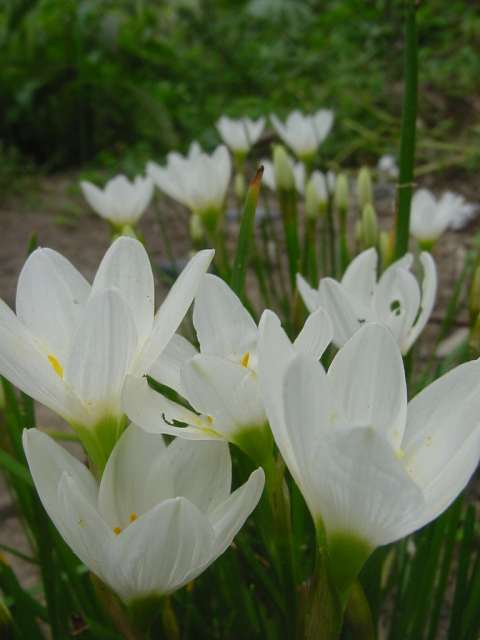 dsc00056