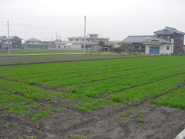 Dsc00058