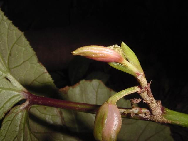 dsc00062