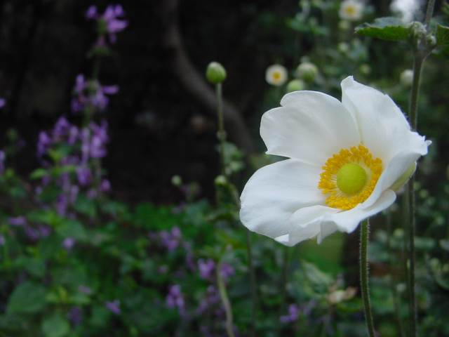 dsc00067