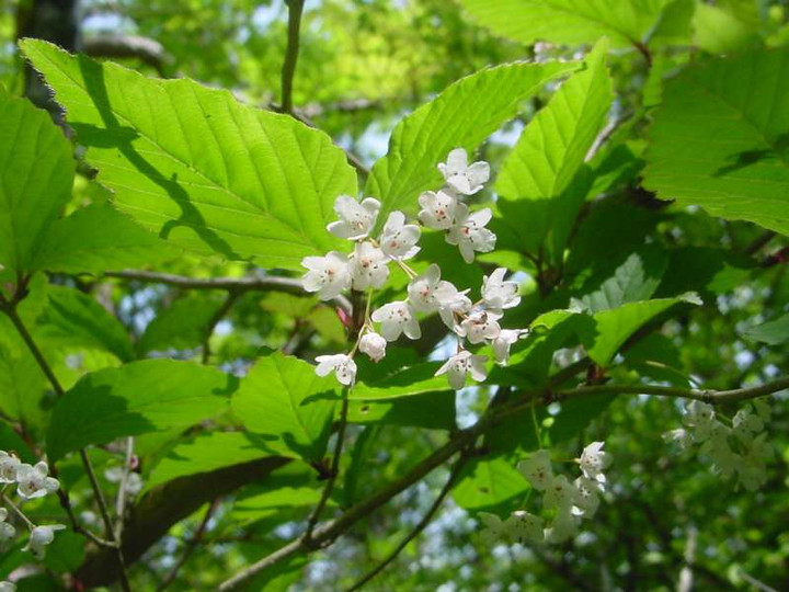 Dsc00070_2