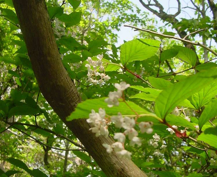 Dsc00072_2