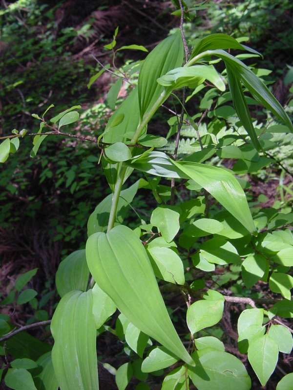 Dsc00076_1