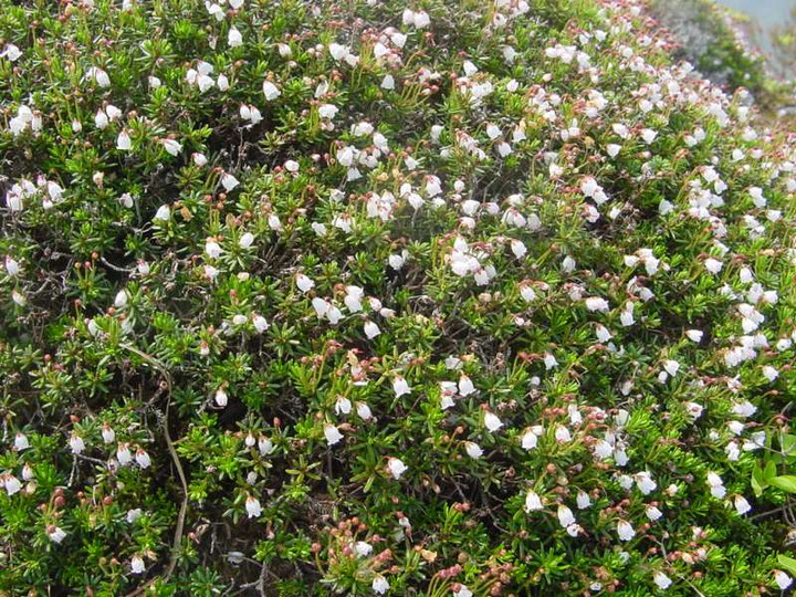 Dsc00082_2