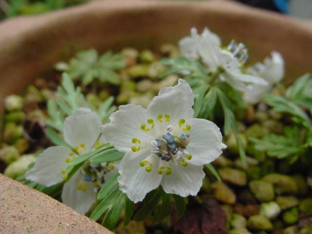 dsc000841