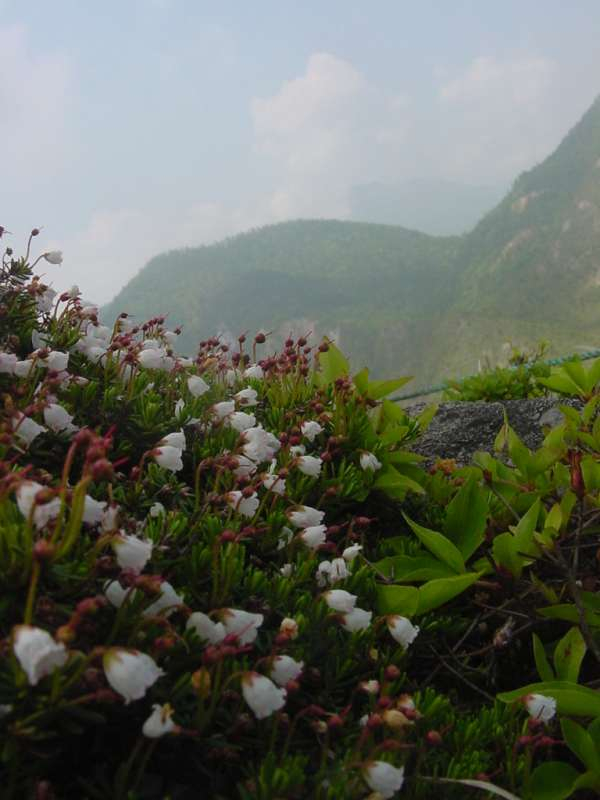 Dsc00084_3