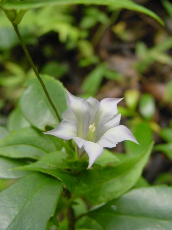 dsc00085