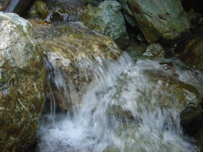 dsc0008512