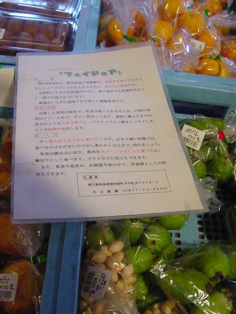 Dsc00086_1