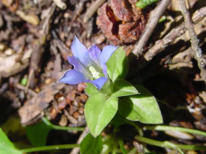 Dsc00087_3