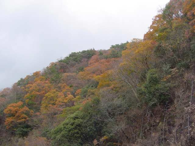 Dsc00090