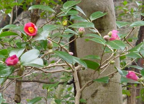 dsc000902