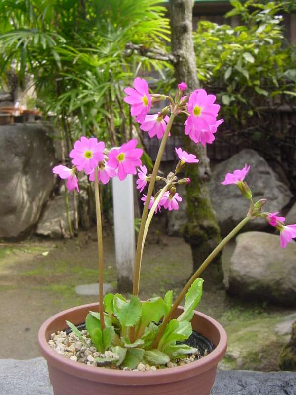 Dsc00092_2