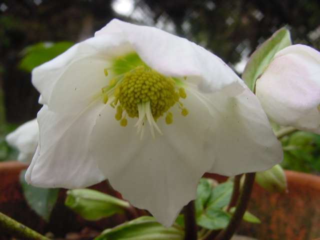 dsc000931