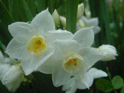 dsc0009313