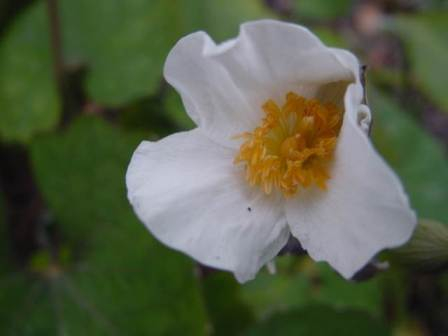 dsc0009316