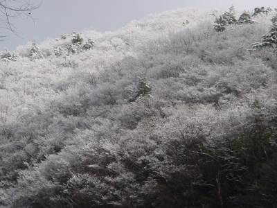 dsc000942