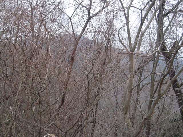 dsc000952