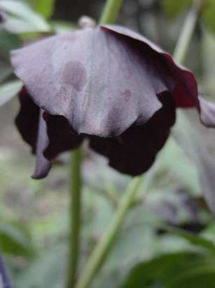 dsc00099