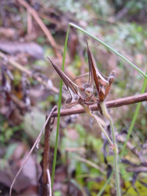 Dsc00103_2