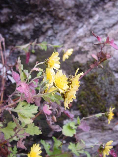 Dsc00112_2