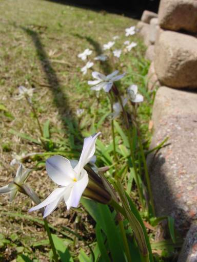dsc0011321