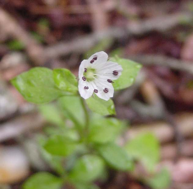 Dsc00124_3