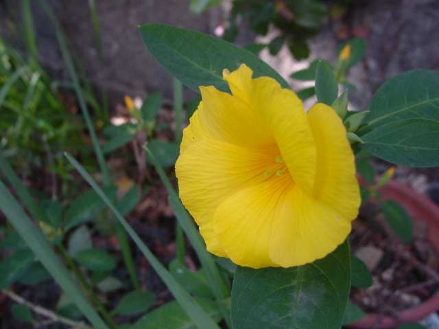 Dsc00129